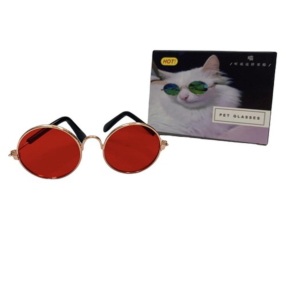 Kedi-Köpek Gözlük